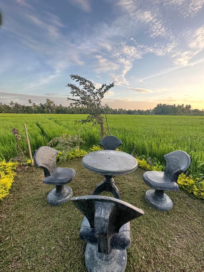 Viveka Inn Guest And Yala Safari Tissamaharama Εξωτερικό φωτογραφία