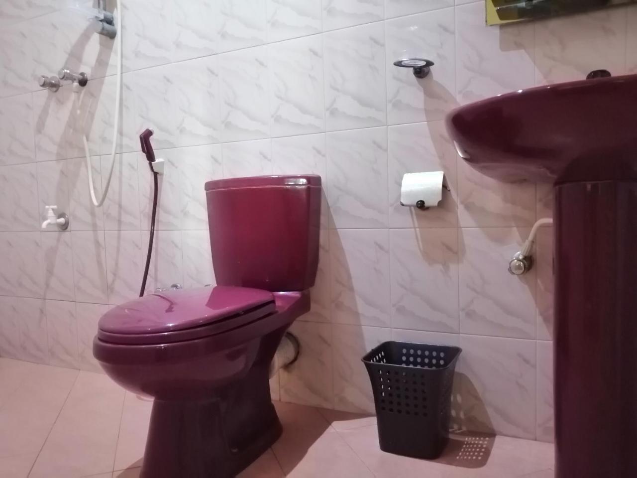 Viveka Inn Guest And Yala Safari Tissamaharama Εξωτερικό φωτογραφία