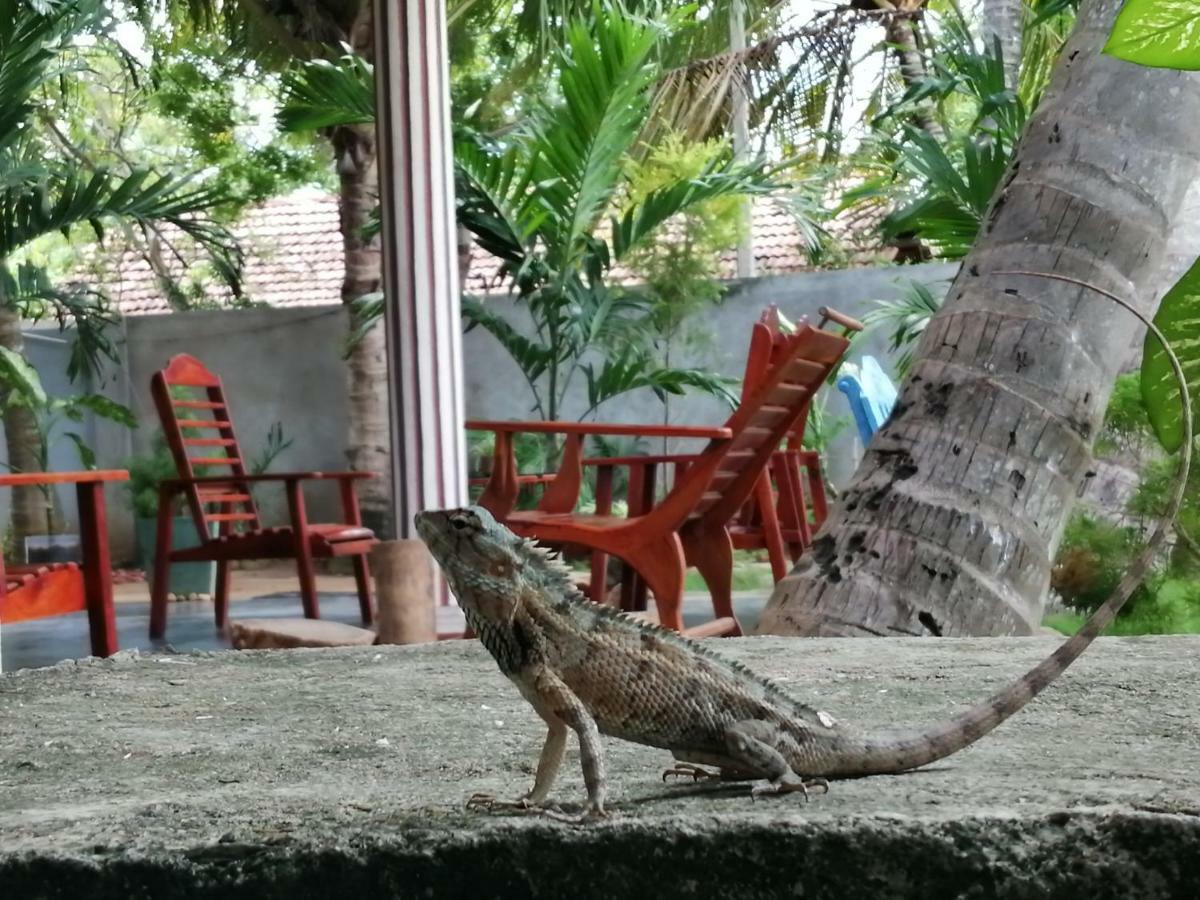 Viveka Inn Guest And Yala Safari Tissamaharama Εξωτερικό φωτογραφία