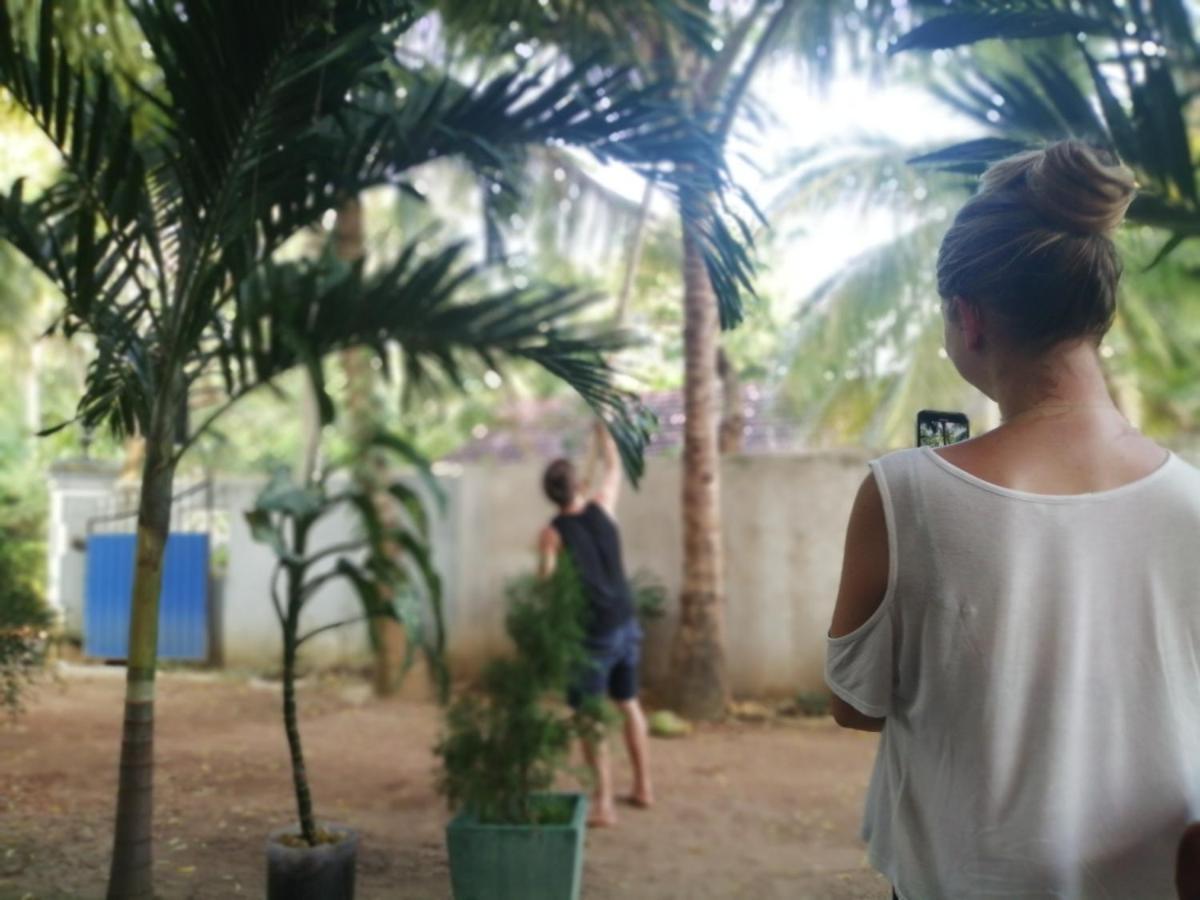 Viveka Inn Guest And Yala Safari Tissamaharama Εξωτερικό φωτογραφία